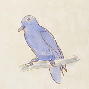 The Light Blue Bird, from Sixteen Drawings of Comic Birds