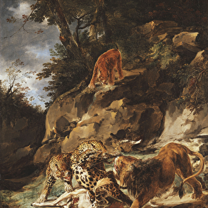 A Lion Driving a Pair of Leopards off a Dead Stag, (oi on canvas)