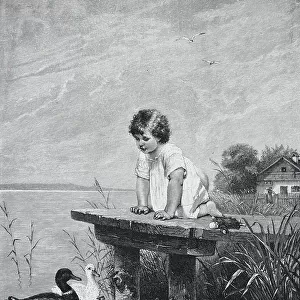 Little girl kneels on a pier by the lake and watches a family of ducks