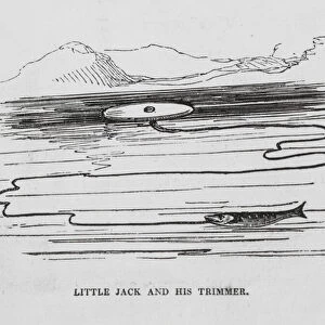 Little Jack and his Trimmer (engraving)