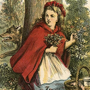 Little Red Riding Hood gathering flowers