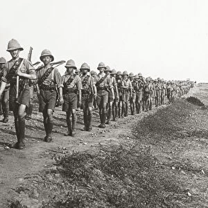 On the long march through torrid heat at Baghdad, 1917 (b / w photo)