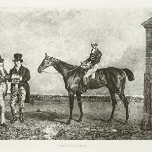 Longwaist, foaled 1821 (b / w photo)