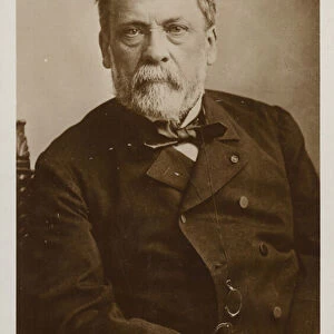 Louis Pasteur (1822-1895), French chemist and microbiologist (b / w photo)