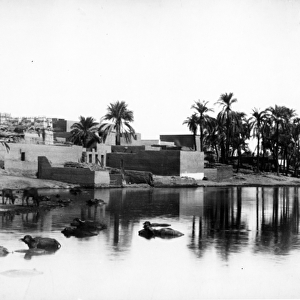 Luxor Seen from a Nile Boat, c. 1860-80 (b / w photo)