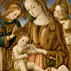 Madonna and Child with Two Angels, c. 1481-82 (tempera and gold on wood)