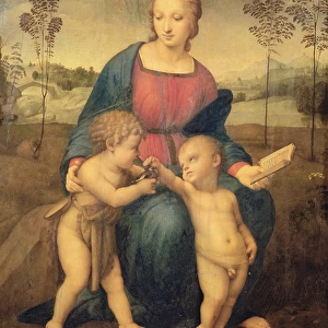 Madonna of the Goldfinch, c. 1506 (oil on panel) (pre restoration)