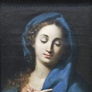 Madonna (oil on canvas)