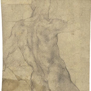 Male nude (chalk on paper) (recto of )