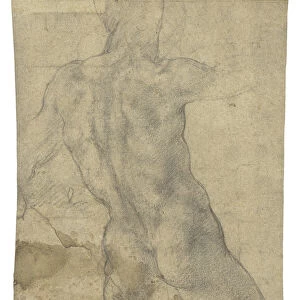 A male nude seen from behind (chalk on paper) (recto of 433457)