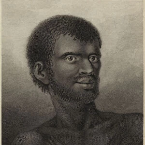 A man of Van Diemens Land (engraving)