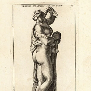 Marble statue of Venus Callipyge. 1779 (engraving)