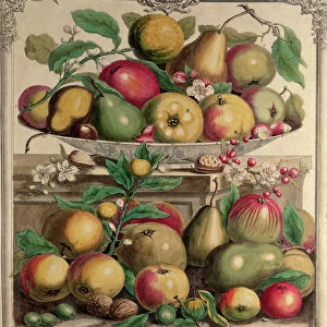March, from Twelve Months of Fruits, by Robert Furber (c