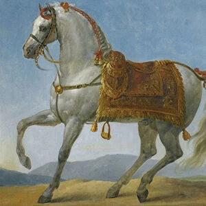 Marengo, the horse of Napoleon I of France par Gros, Antoine Jean, Baron (1771-1835)