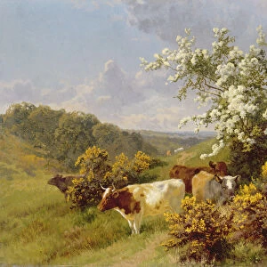May Blossom (oil on canvas)