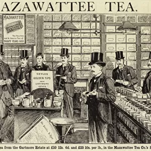 Mazawattee Tea (engraving)