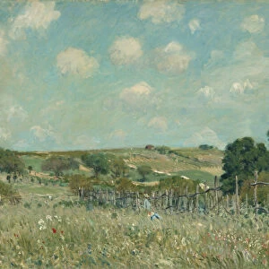 Meadow, 1875 (oil on canvas)
