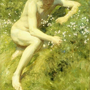 In the Meadow, 1906 (oil on canvas)