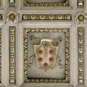 Medici coat of arms, from the soffit of the church (stucco)