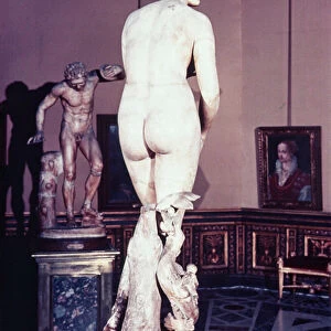 The Medici Venus, Greek, early third century BC (marble)