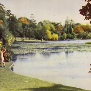 Melbourne Botanical Gardens (colour photo)