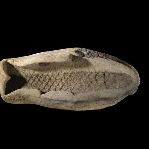 Mesopotamie: terracotta mold in the shape of fish. Around 1800 BC