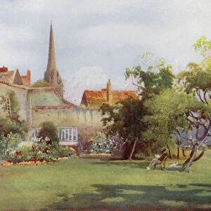 Miltons Mulberry Tree in the Fellows Garden, Christs College (colour litho)