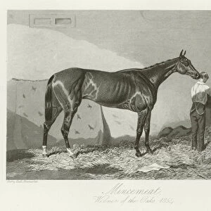 Mincemeat, foaled 1851 (b / w photo)