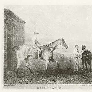 Miss Craven, foaled 1824 (b / w photo)