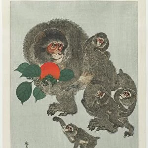 Monkeys and Persimmon, 1930s (colour woodblock print)