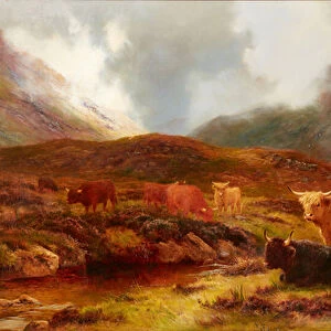 Moorland at Clachaig, Glencoe (oil on canvas)