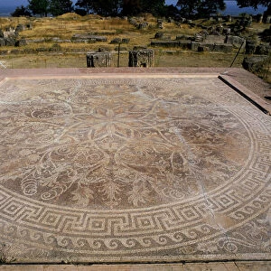Mosaic floor at Vergina, Royal Palace of the Macedonian Dynasty