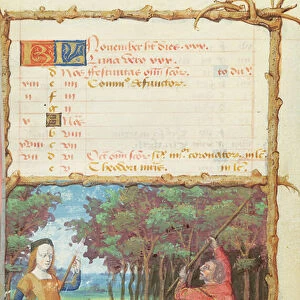 Ms 438 The Month of November: Gathering Acorns, from a Book of Hours, 1490 (vellum)