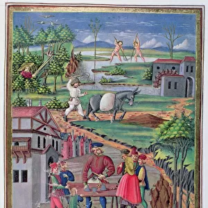 Ms. De Sphaera fol. 13r Work and Play in the Countryside, 1470 (vellum)