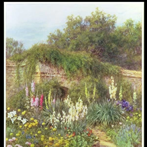 In Munstead Wood Garden, Gertrude Jekylls Garden, Godalming