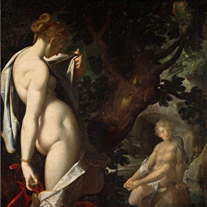 The naiad Salmacis admiring Hermaphrodite bathing in a spring (Painting