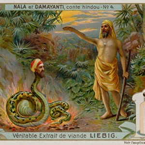 Nala Saves the Snake Naga Karkotaka (chromolitho)