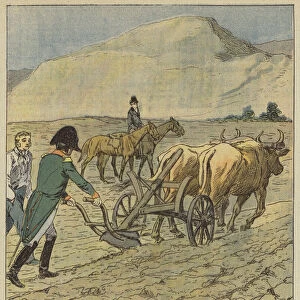 Napoleon trace un sillon a la charrue (colour litho)
