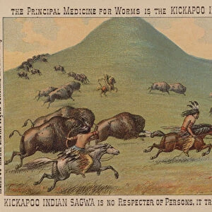 Native Americans hunting buffalo on horseback (chromolitho)
