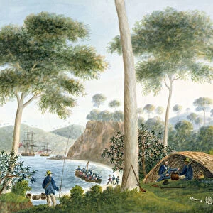 Native Hut (or Wigwam) of Adventure Bay, Van Diemans Land, 1792 (w / c)