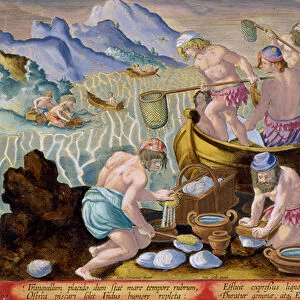 Natives Fishing for Giant Clams on the Indus, plate 102 from Venationes Ferarum
