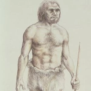 Neanderthal Man (pencil on paper)