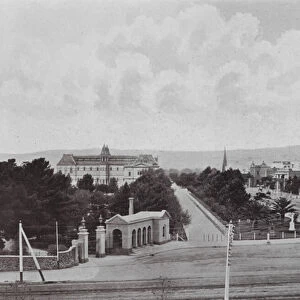 North Terrace, Adelaide, looking East from top of Parliament House (b / w photo)