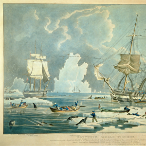 Northern Whale Fishery, engraved by E. Duncan, 1829 (colour aquatint)