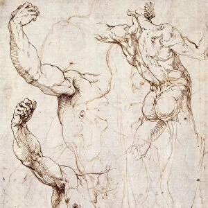 The Back of a Nude and Two Studies of a Raised Arm and Shoulder, Seen from the Front