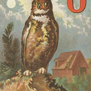 O: O for the Owl, That Prowling at Night, Steals Chicks from Our Barn in the Quiet Moonlight. 1870 (illustration)