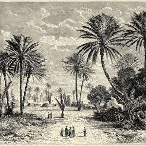 Oasis of Gafsa: Tunis (engraving)