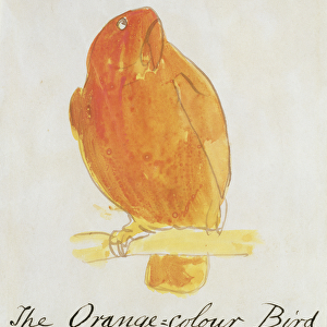 The Orange Colour Bird, from Sixteen Drawings of Comic Birds