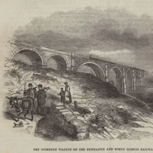 The Ouseburn Viaduct on the Newcastle and North Shields Railway (engraving)