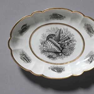 Oval Dish, Barr, Flight & Barr, 1807-1813 (porcelain)